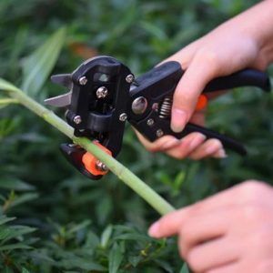 Professional Garden Grafting Tool with Tape