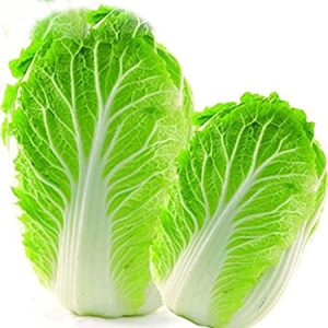 Chinese Cabbage [بند گوبهی] Seeds