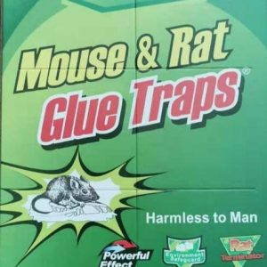 Reusable Mouse & Rat Glue Trap – [Pack of 5]