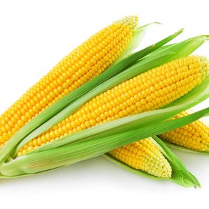 Hybrid Corn [مکئی] Seeds – [Pack of 2]