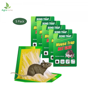 Reusable Mouse & Rat Glue Trap – [Pack of 5]