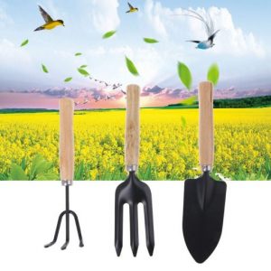 Mini Garden Tool Set – [03 Pcs]