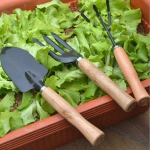 Mini Garden Tool Set – [03 Pcs]