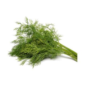 Dill [سویا] Seeds – [Pack of 2]