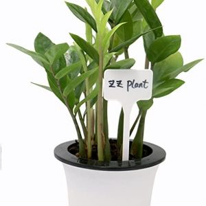 [20 Pcs] Plastic Plant Labels T Type