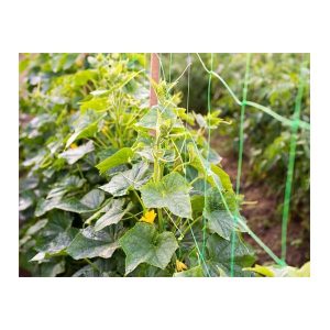 Crop Support Net for Climbing Plants