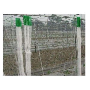 Crop Support Net for Climbing Plants