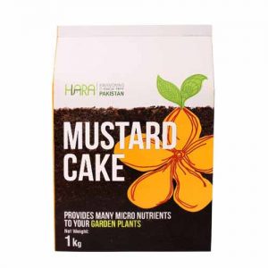 Organic Mustard Cake – 01 KG