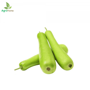 F1 Hybrid Bottle Gourd – 10 Seeds