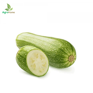 F1 Hybrid Maaru Kaddu – 10 Seeds