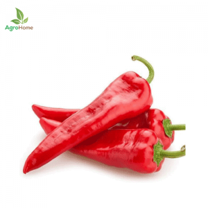 Imported Pepperoni Pepper – 10 Seeds