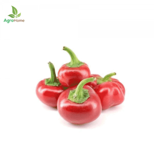 High Quality Pimiento Pepper – 10