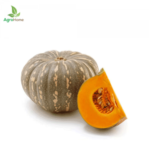 F1 Hybrid Pumpkin Imported – 10 Seeds