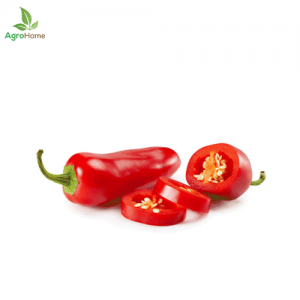 Red Jalapeno Chili Pepper -10 Seeds