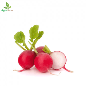 F1 Hybrid Red Reddish – 100+ Seeds