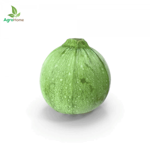 F1 Hybrid Round Squash – 10 Seeds