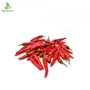 F1 Hybrid Thai Chili – 20 Seeds