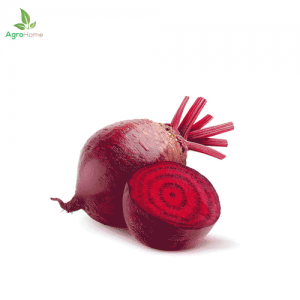 Imported Beet Root – 50+ Seeds