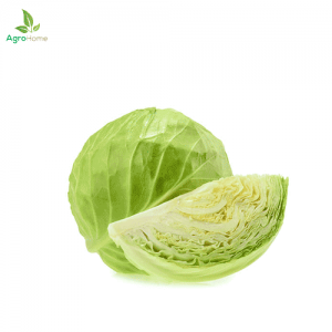 F1 Hybrid Cabbage  – 20+ Seeds