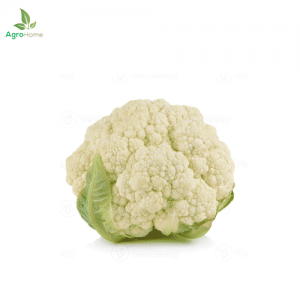 F1 Hybrid Cauliflower – 25 Seeds