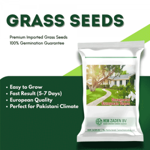 European All Season Grass Seeds – 100 Grams
