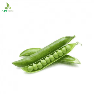 F1 Hybrid Green Peas – 40+ Seeds