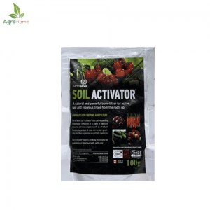 Soil Activator 100 Grams – Natural Biofertilizer